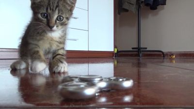 Cat and figget spinner