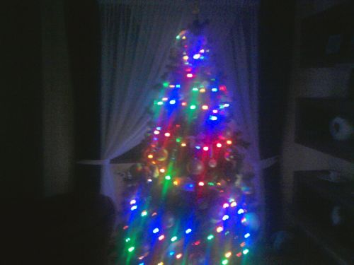 When you undress the Christmas tree? - taplic.com