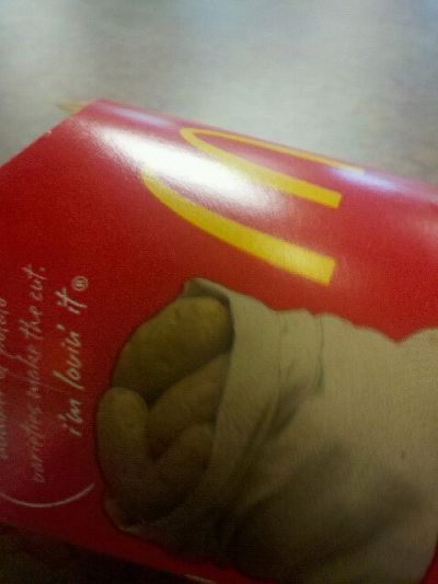 lunch