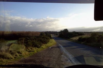 beautiful day