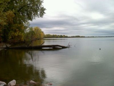 Lake Albert
