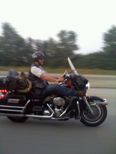 Just riding on a bike