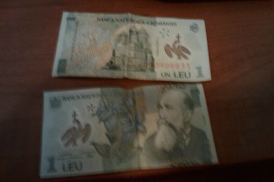 Romanian money