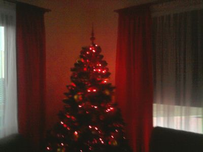 How beautifully dressed Christmas tree?