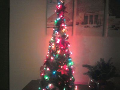Is buying a small Christmas tree is more profitable?