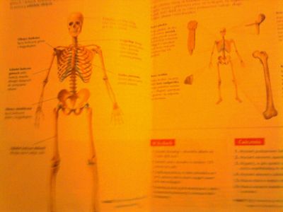 Is biology is difficult? Science biology can be easy!