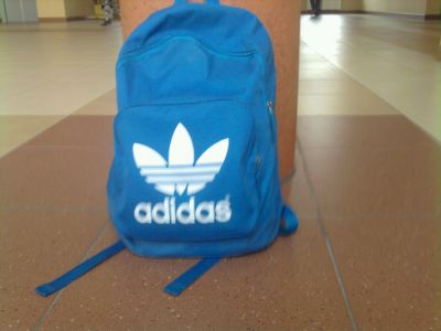 How to buy a backpack for school - are backpacks adidas good hold?