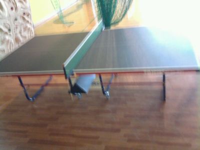 Is it profitable to buy a ping pong table? Where can I learn to play ping pong?