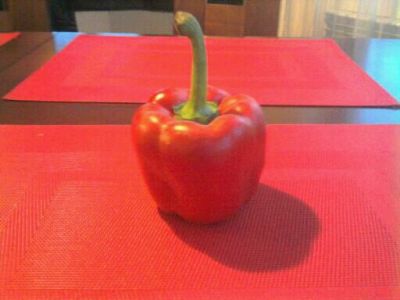 Peppers stuffed with minced meat and rice and corn and red beans