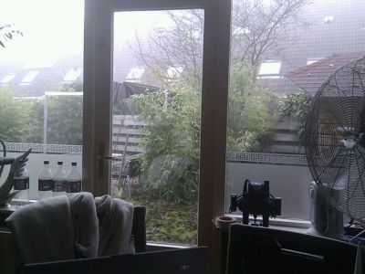 home gouda