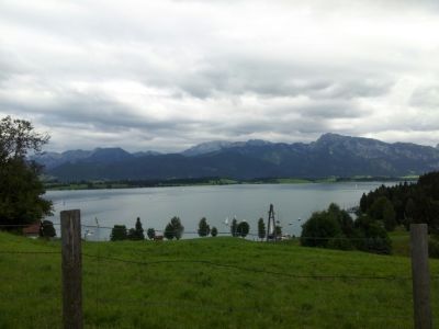 Forggensee