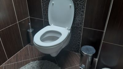 Xiaomi Mi Toilet 2019 -Is it profitable to wait