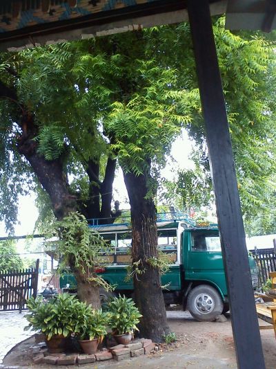 A truck to work in the garden